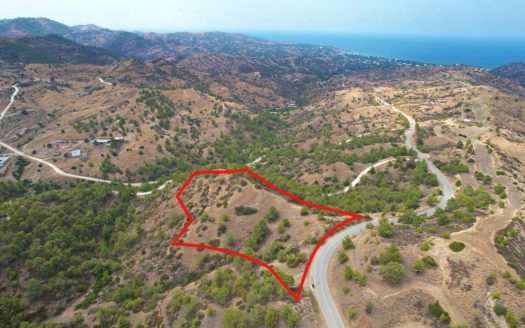 Field in Pano Pyrgos, Nicosia