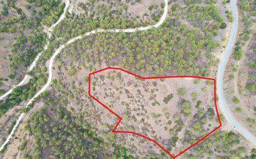 Field in Pano Pyrgos, Nicosia