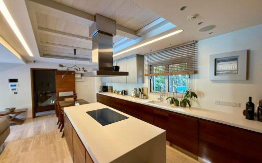 Limassol Property Beachfront Five Bedroom Villa