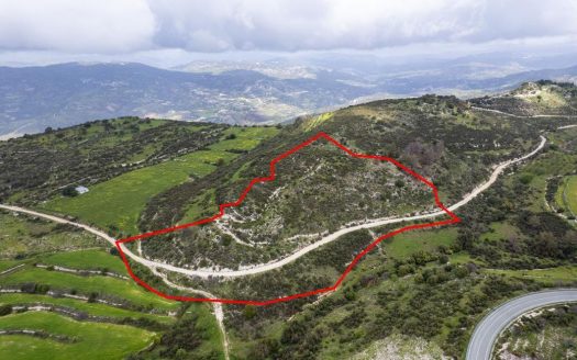 Shared field in Mousere, Paphos