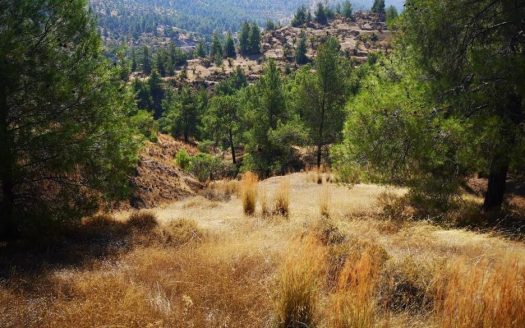 Residential field in Agios Theodoros Soleas, Nicosia