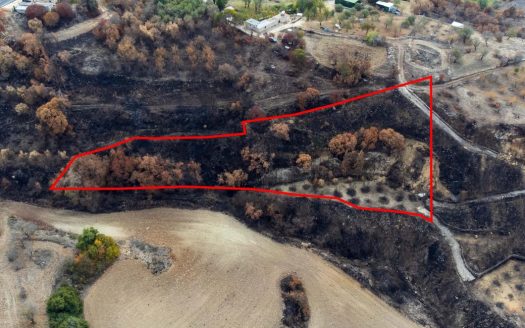 Agricultural Field in Drymou, Paphos