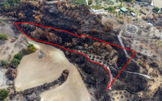 Agricultural Field in Drymou, Paphos