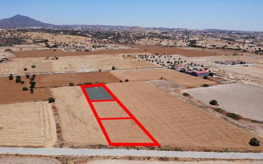 Shared residential field in Alaminos, Larnaca