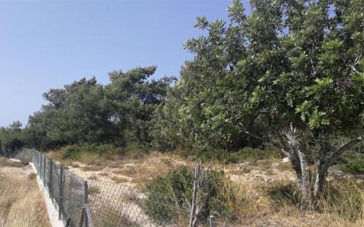 Shared field in Neo Chorio, Paphos