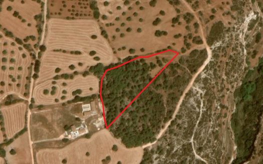 Shared field in Neo Chorio, Paphos