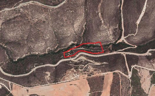 Field in Souskiou, Paphos