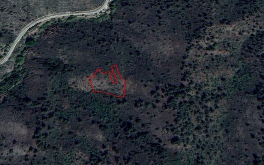 Agricultural field in Platanistasa, Nicosia