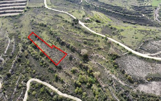 Field in Potamiou, Limassol