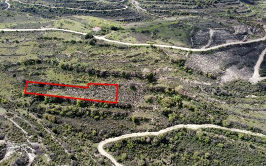 Field in Potamiou, Limassol