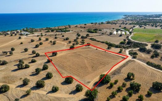 Touristic field in Agios Theodoros, Larnaca