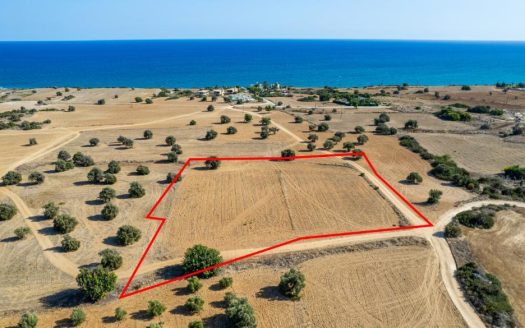 Touristic field in Agios Theodoros, Larnaca