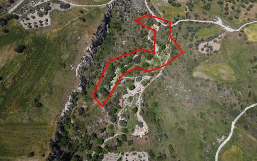 Two shared agricultural fields in Lasa, Paphos