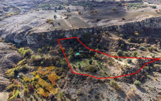 Shared agricultural field in Lasa, Paphos