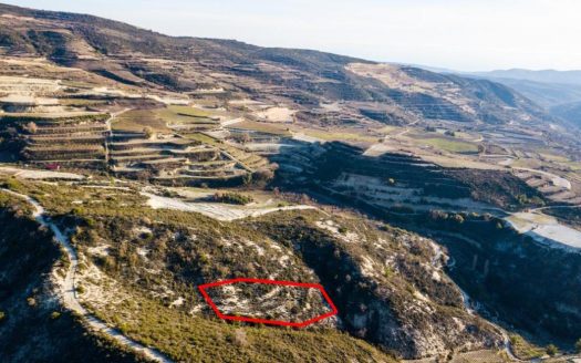 Agricultural field in Omodos, Limassol