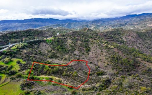 Shared agricultural field in Vavla, Larnaca