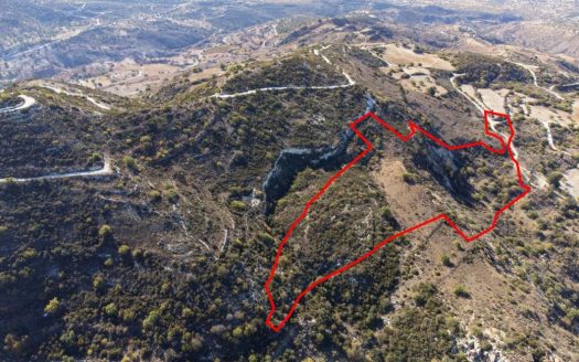 Shared agricultural field in Akoursos, Paphos