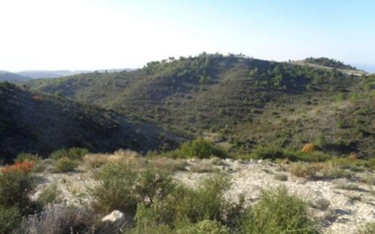 Agricultural field in Asgata, Limassol
