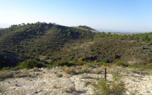 Agricultural field in Asgata, Limassol