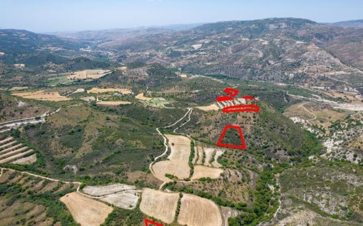 Fields in Dora, Limassol