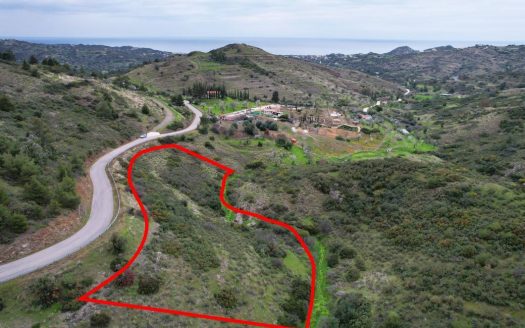 Field in Pano Pyrgos, Nicosia
