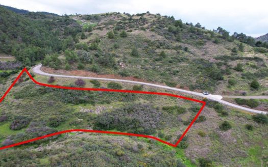 Field in Pano Pyrgos, Nicosia