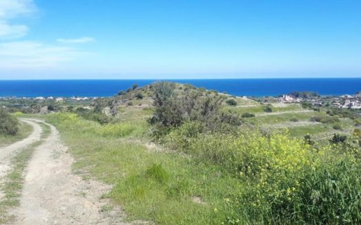 Residential field in Kato Pyrgos, Nicosia
