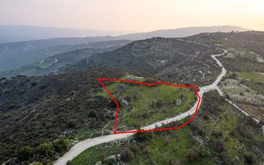 Shared agricultural field in Salamiou, Paphos