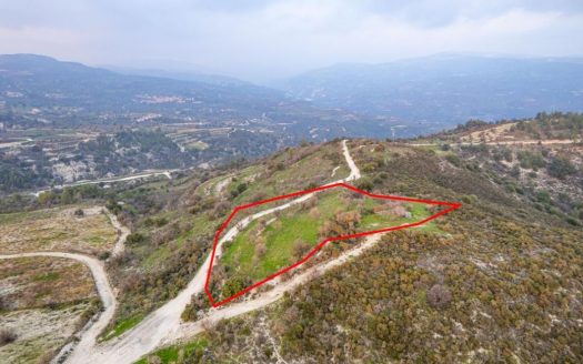 Shared agricultural field in Salamiou, Paphos