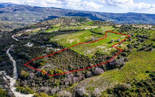Shared agricultural field in Salamiou, Paphos