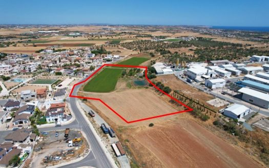 Shared field in Xylotymvou, Larnaka