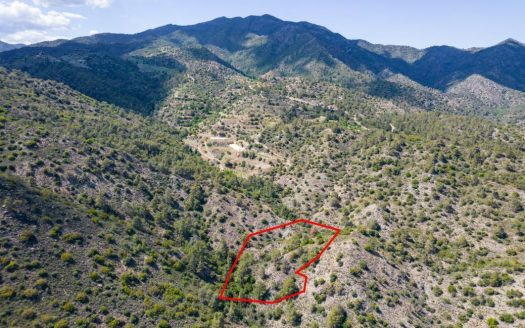 Four fields in Sykopetra, Limassol