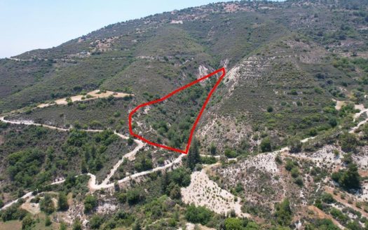 Agricultural field in Gerasa, Limassol