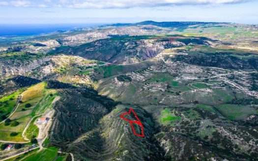 Agricultural fields in Pegeia, Paphos