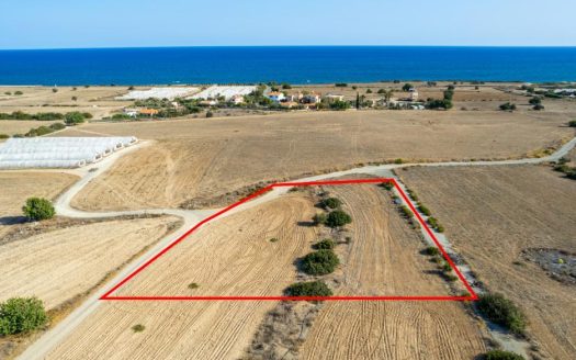 Touristic field in Maroni, Larnaca