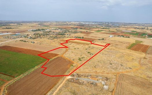 Shared agricultural field in Liopetri, Famagusta
