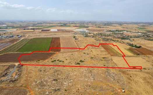 Shared agricultural field in Liopetri, Famagusta