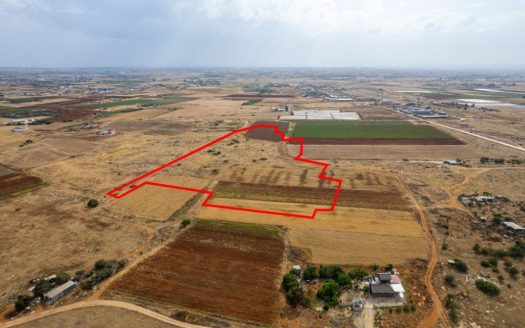 Shared agricultural field in Liopetri, Famagusta