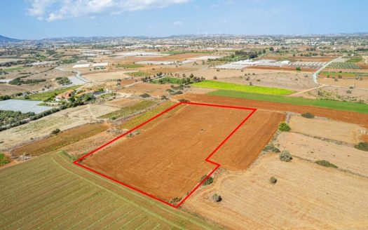 Touristic field in Alaminos, Larnaca