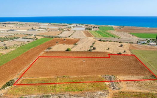 Touristic field in Alaminos, Larnaca