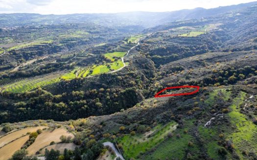 Agricultural field in Miliou, Paphos