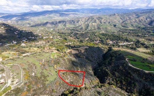 Agricultural field in Miliou, Paphos