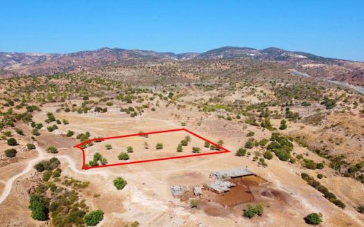 Residential field in Pegeia, Paphos