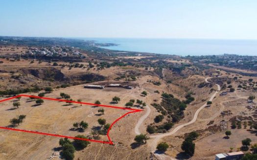 Residential field in Pegeia, Paphos