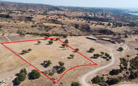 Residential field in Pegeia, Paphos