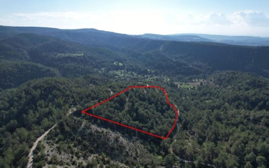 Shared field in Pano Archimandrita, Paphos