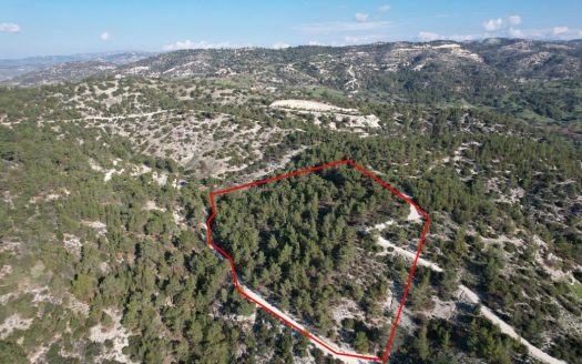 Shared field in Pano Archimandrita, Paphos