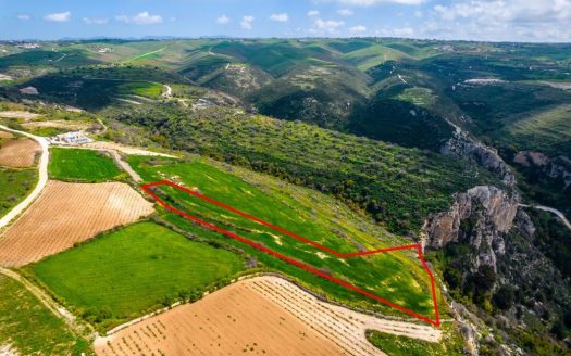 Field in Pano Arodes, Paphos