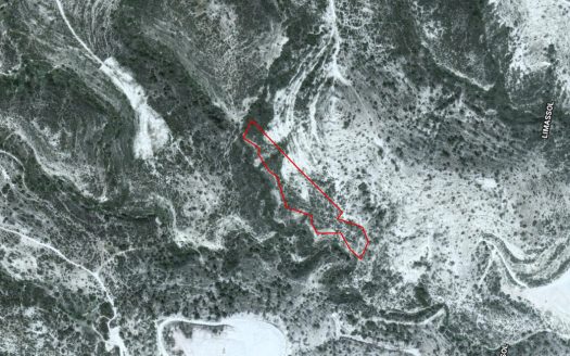 Shared agricultural field in Asgata, Limassol