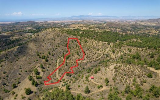 Agricultural field in Xyliatos, Nicosia